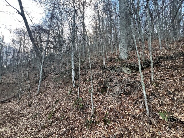 LOT9 Buck Mountain Rd Unit 9, Maggie Valley, NC 28751