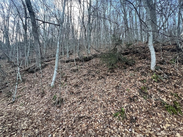 LOT9 Buck Mountain Rd Unit 9, Maggie Valley, NC 28751