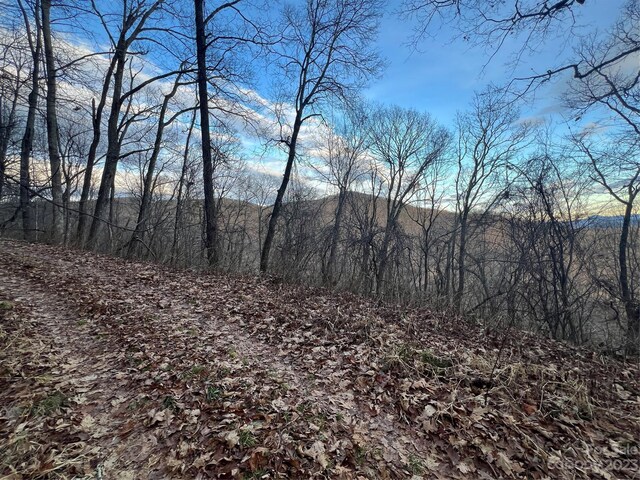 LOT9 Buck Mountain Rd Unit 9, Maggie Valley, NC 28751