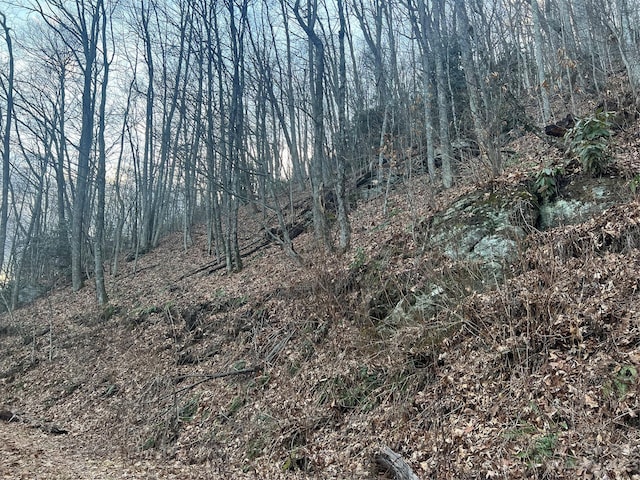 LOT9 Buck Mountain Rd Unit 9, Maggie Valley, NC 28751