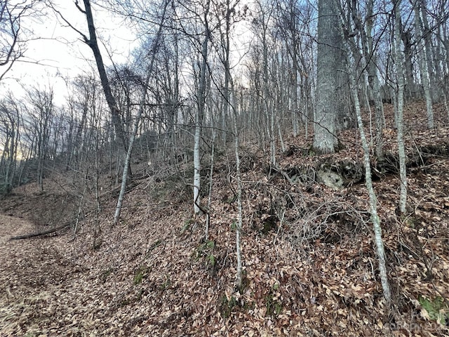 LOT9 Buck Mountain Rd Unit 9, Maggie Valley, NC 28751