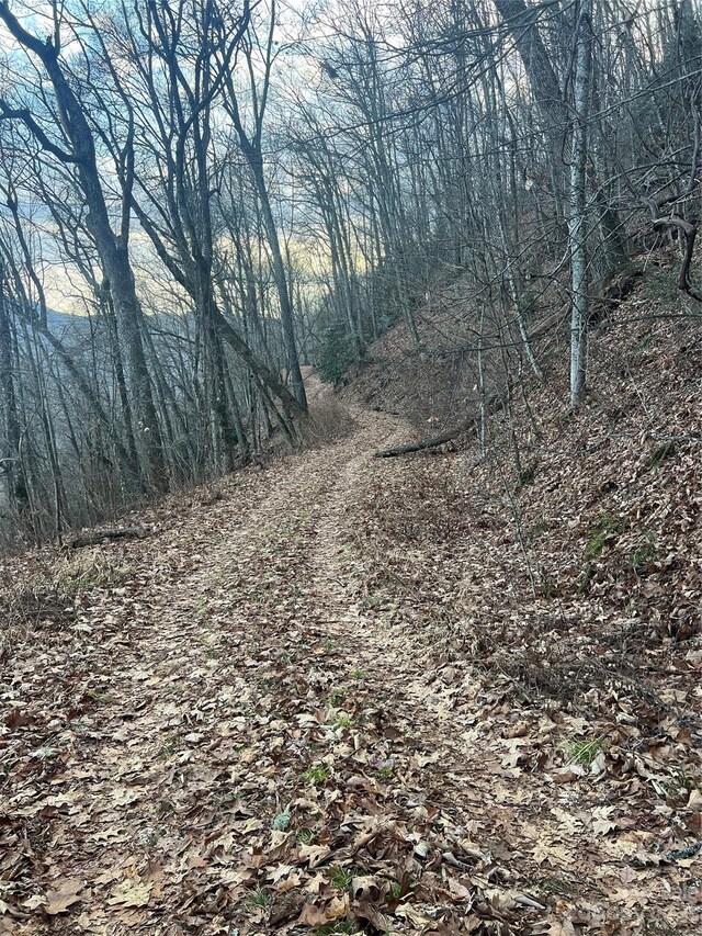 LOT9 Buck Mountain Rd Unit 9, Maggie Valley, NC 28751
