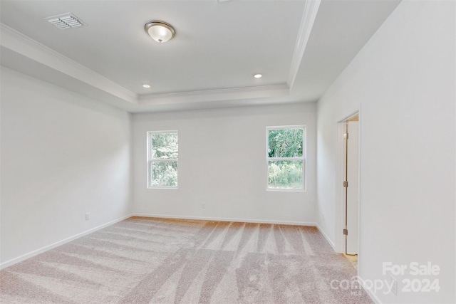 carpeted spare room featuring a tray ceiling, plenty of natural light, and ornamental molding