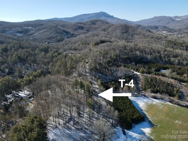 T4 Seneca Dr, Boone NC, 28607 land for sale