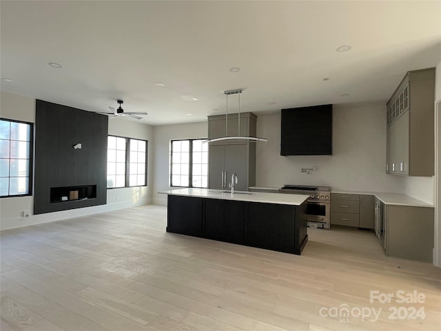 kitchen with gray cabinets, light hardwood / wood-style floors, and stainless steel stove