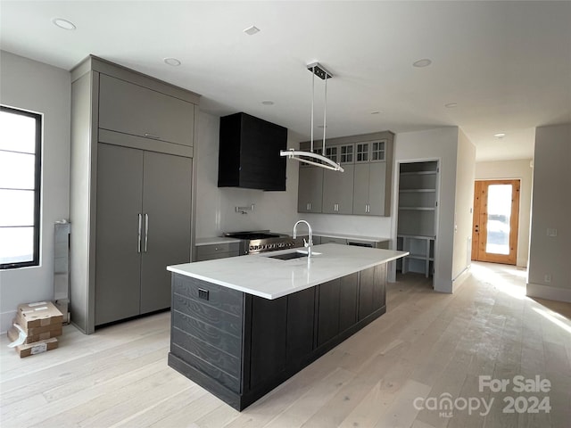 kitchen with a wealth of natural light, sink, an island with sink, and light hardwood / wood-style flooring