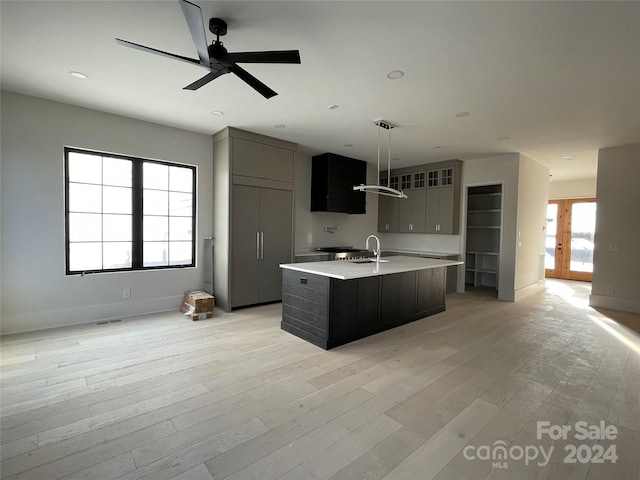 kitchen featuring plenty of natural light, an island with sink, and light wood-type flooring