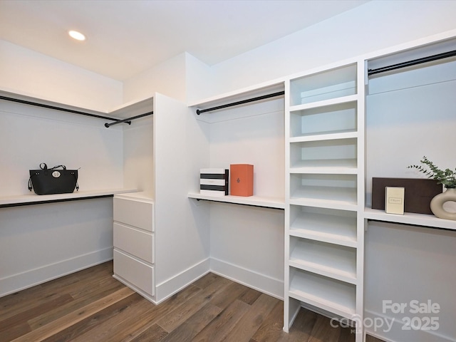 walk in closet with dark wood-type flooring