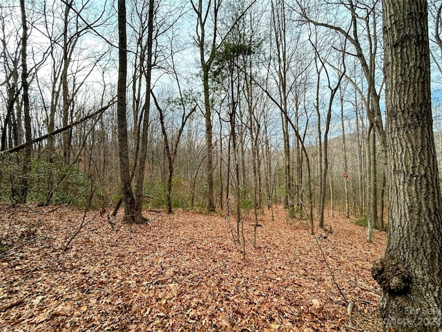 Listing photo 2 for LOT11 Rhododendron Dr, Saluda NC 28773