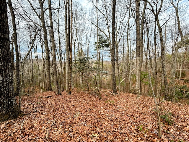 Listing photo 3 for LOT11 Rhododendron Dr, Saluda NC 28773