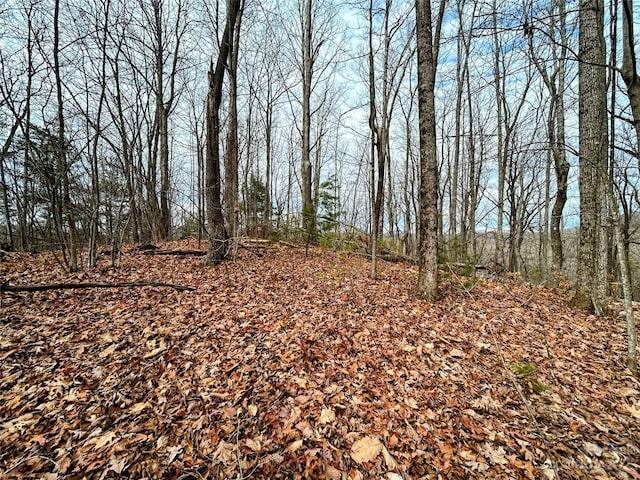 LOT12 Rhododendron Dr, Saluda NC, 28773 land for sale