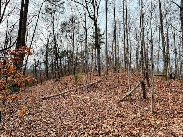 Listing photo 3 for LOT12 Rhododendron Dr, Saluda NC 28773