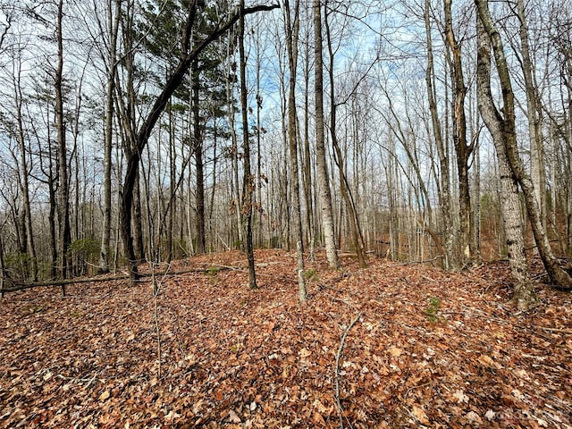 LOT14 Rhododendron Dr, Saluda NC, 28773 land for sale