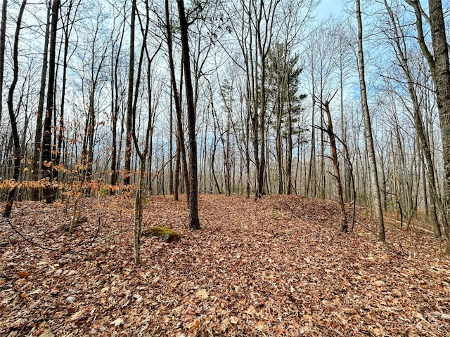 Listing photo 2 for LOT14 Rhododendron Dr, Saluda NC 28773