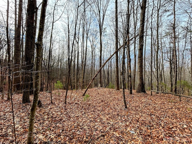 Listing photo 3 for LOT14 Rhododendron Dr, Saluda NC 28773