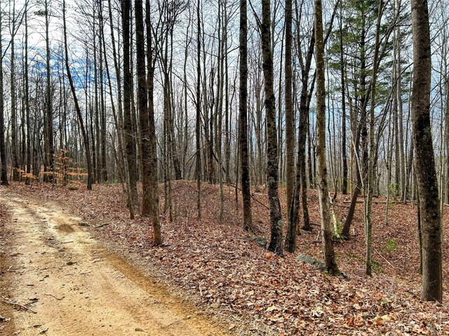 LOT14 Rhododendron Dr, Saluda, NC 28773