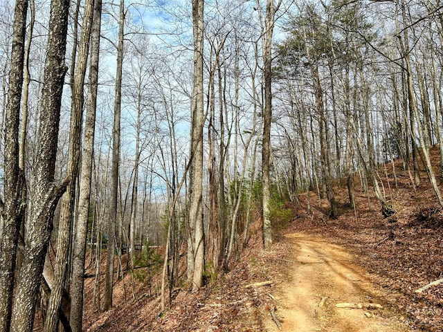 LOT14 Rhododendron Dr, Saluda, NC 28773