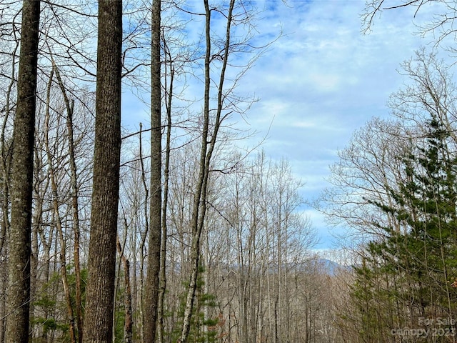 LOT14 Rhododendron Dr, Saluda, NC 28773