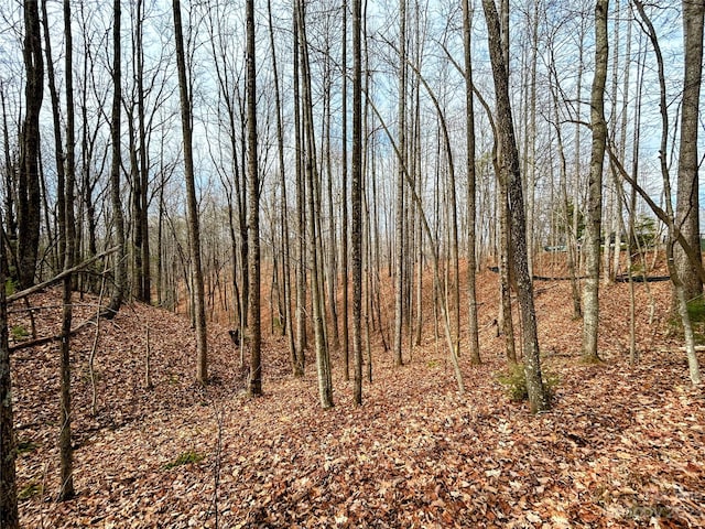 LOT14 Rhododendron Dr, Saluda, NC 28773