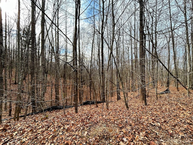 LOT14 Rhododendron Dr, Saluda, NC 28773