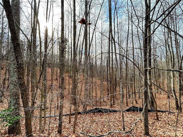 LOT14 Rhododendron Dr, Saluda, NC 28773