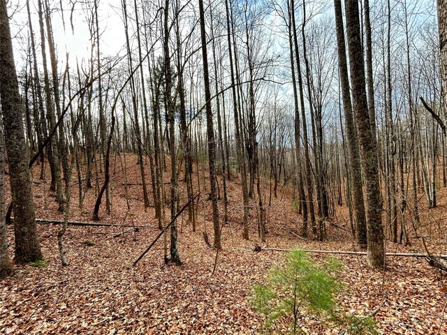 LOT14 Rhododendron Dr, Saluda, NC 28773