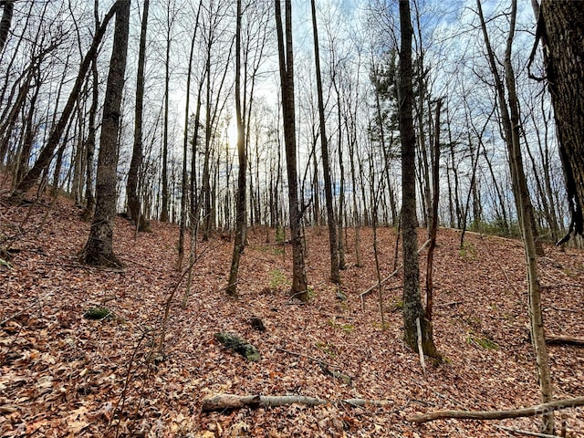 LOT14 Rhododendron Dr, Saluda, NC 28773
