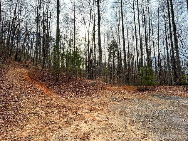 LOT14 Rhododendron Dr, Saluda, NC 28773