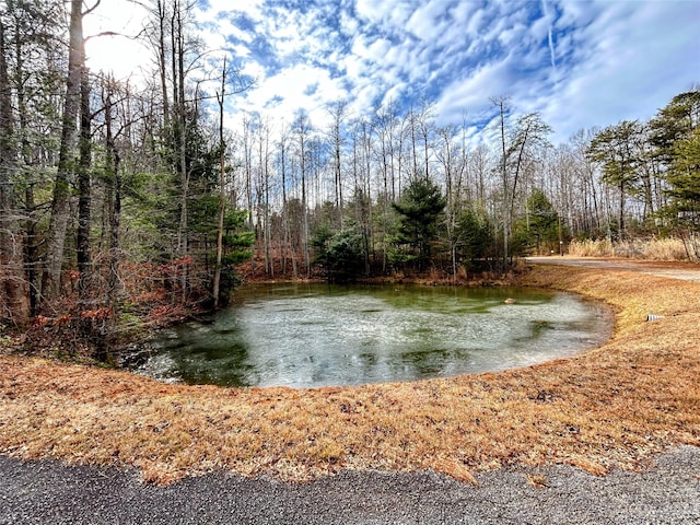 LOT14 Rhododendron Dr, Saluda, NC 28773