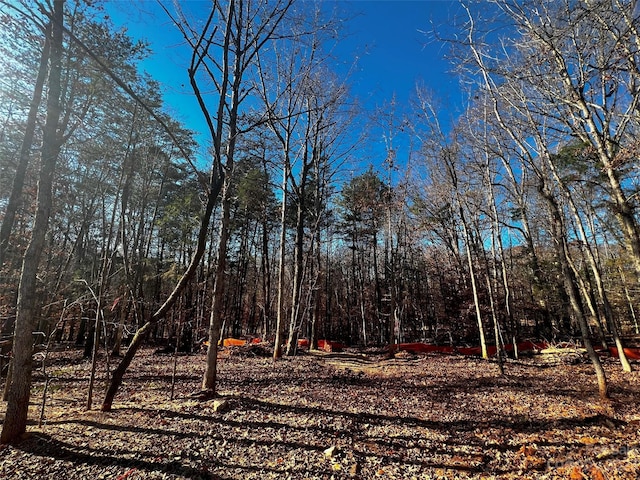 Listing photo 2 for 156 Copper Pine Ln Unit 5, Davidson NC 28036