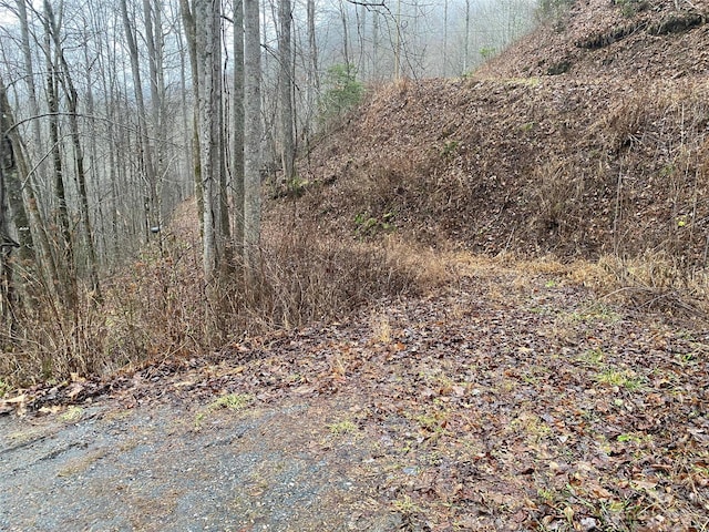 TR17B Forest Run Rd, Whittier NC, 28789 land for sale