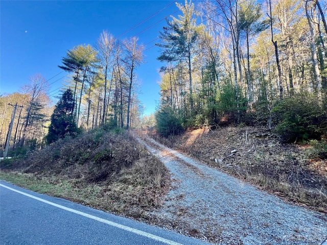 TBD Frozen Creek Rd, Brevard NC, 28712 land for sale