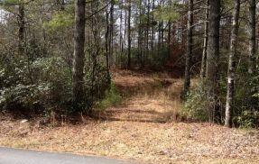 Listing photo 2 for TBD Frozen Creek Rd, Brevard NC 28712