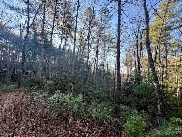 Listing photo 3 for TBD Frozen Creek Rd, Brevard NC 28712