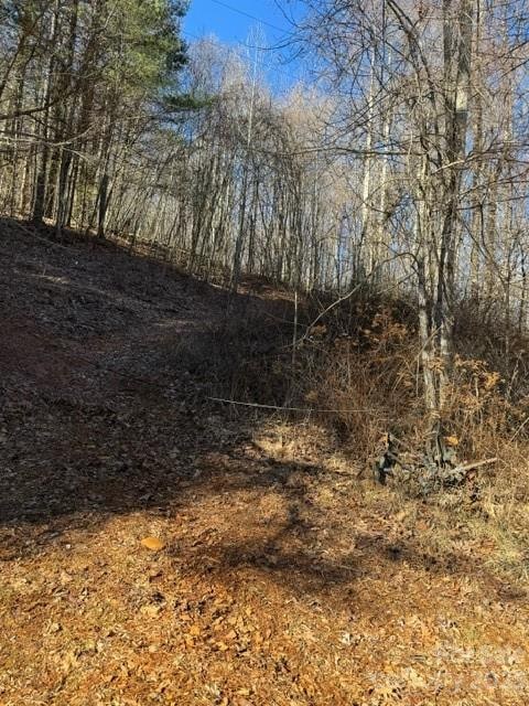 0 Cabin Creek Rd, Zirconia NC, 28790 land for sale