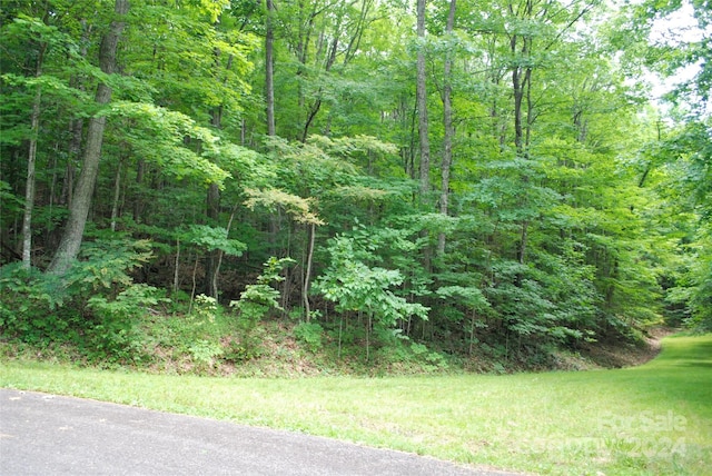 Listing photo 3 for TBD Candle St Unit 41, West Jefferson NC 28694