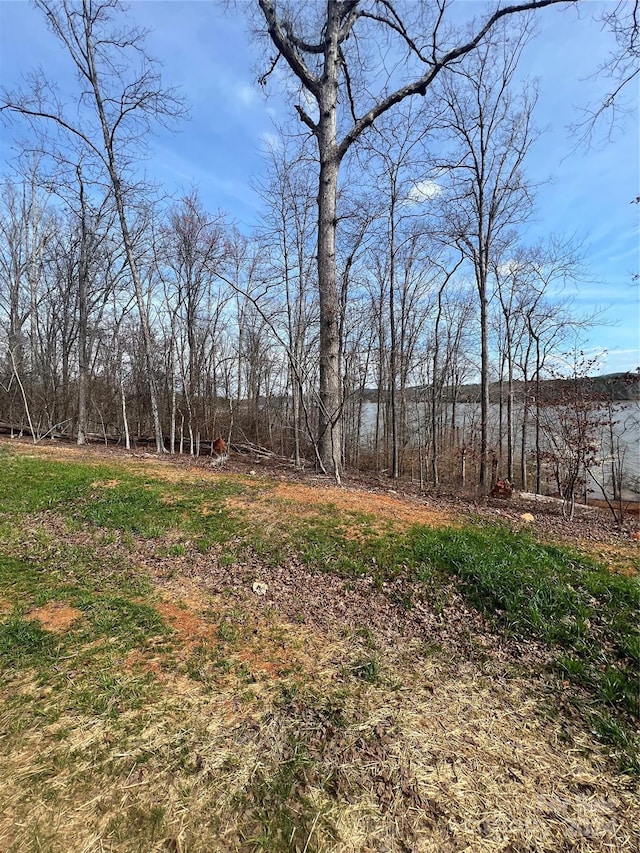 Listing photo 2 for LOT104 Edgewater Dr, Norwood NC 28128