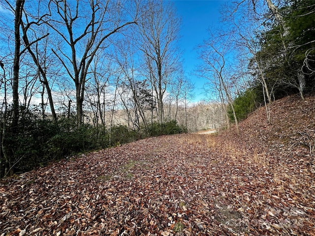 LOT47 N Nickajack Rd Unit 47, Franklin NC, 28734 land for sale