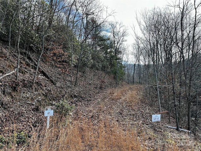 Listing photo 3 for LOT47 N Nickajack Rd Unit 47, Franklin NC 28734