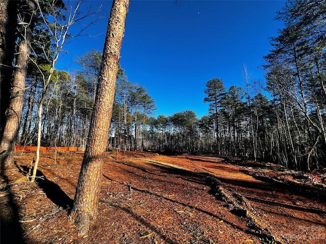 Listing photo 3 for 130 Hunt Camp Trl Unit 14, Davidson NC 28036