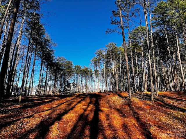 109 Hunt Camp Trl Unit 19, Davidson NC, 28036 land for sale