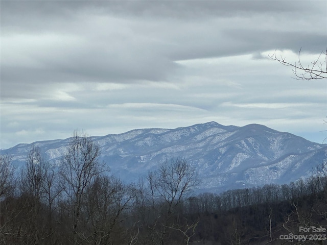 view of mountain feature