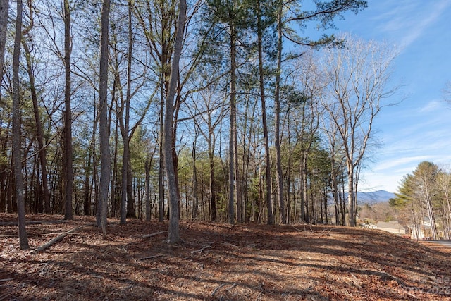 Listing photo 3 for LOT5 Northview Dr, Hendersonville NC 28791