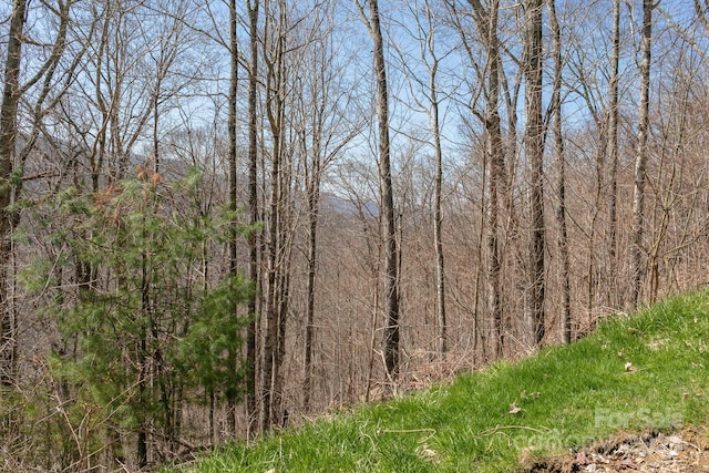 LOT13 Austin Mountain Dr Unit 13/3, Burnsville, NC 21714 - photo 4