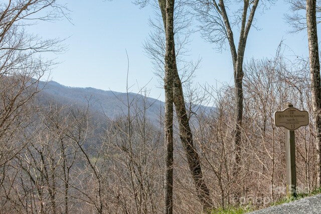 LOT13 Austin Mountain Dr Unit 13/3, Burnsville, NC 21714 - photo 5