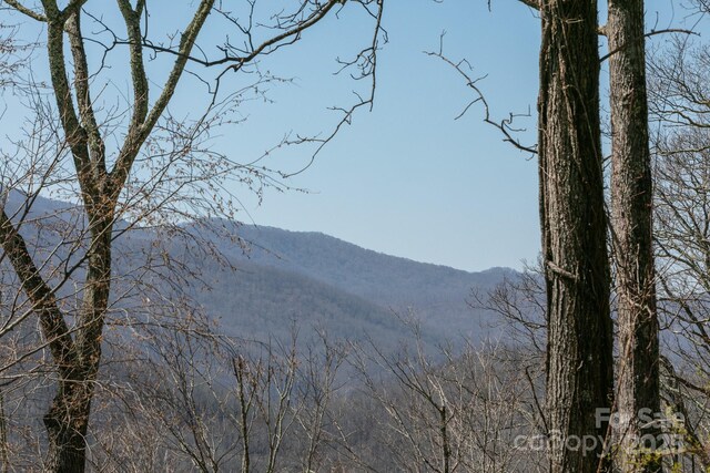 LOT13 Austin Mountain Dr Unit 13/3, Burnsville, NC 21714 - photo 6
