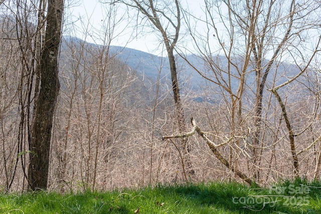 LOT13 Austin Mountain Dr Unit 13/3, Burnsville, NC 21714 - photo 14