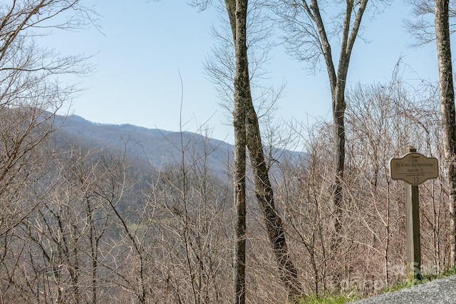 Listing photo 2 for LOT13 Austin Mountain Dr Unit 13/3, Burnsville NC 21714