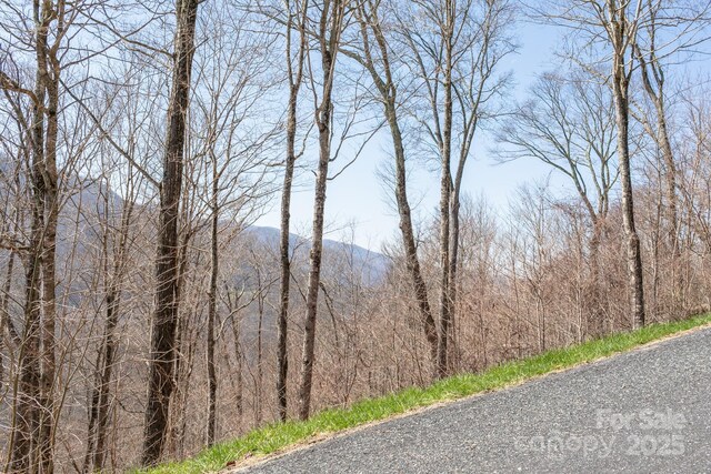 LOT13 Austin Mountain Dr Unit 13/3, Burnsville, NC 21714 - photo 7