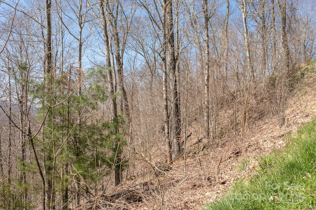 LOT13 Austin Mountain Dr Unit 13/3, Burnsville, NC 21714 - photo 8